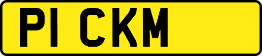 P1CKM