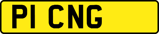 P1CNG
