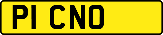 P1CNO