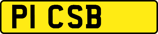 P1CSB