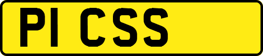 P1CSS