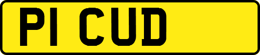 P1CUD