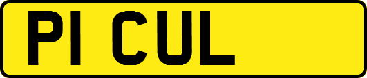 P1CUL
