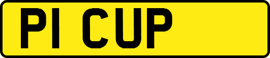 P1CUP
