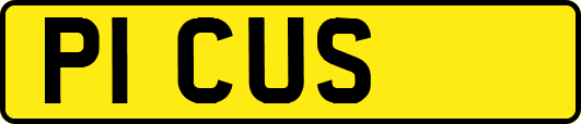 P1CUS