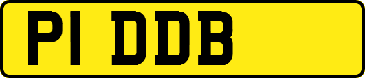 P1DDB