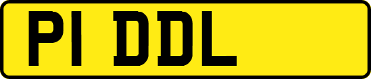 P1DDL