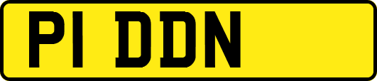 P1DDN