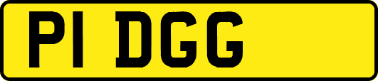 P1DGG