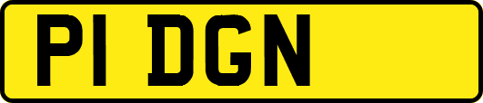 P1DGN
