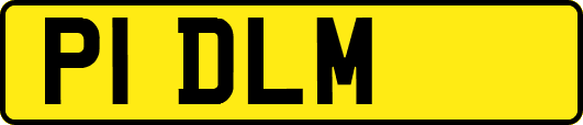 P1DLM