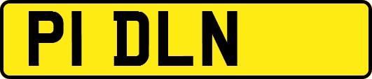 P1DLN