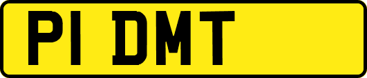 P1DMT