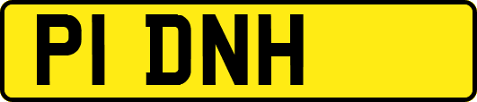 P1DNH