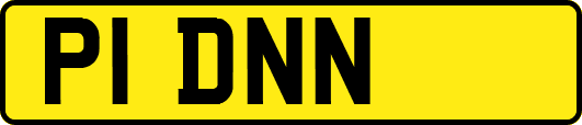 P1DNN