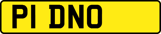 P1DNO