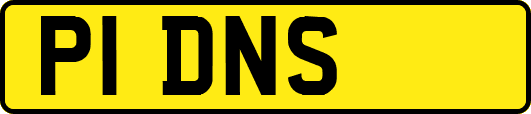 P1DNS