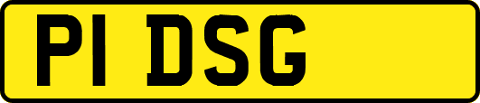 P1DSG