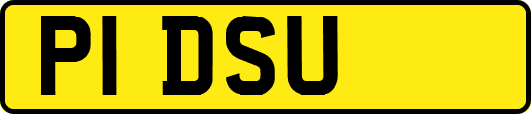 P1DSU
