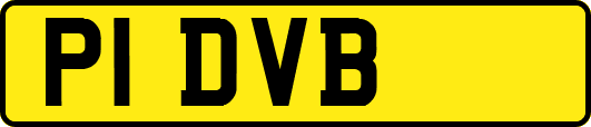 P1DVB