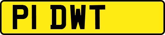 P1DWT