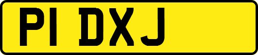 P1DXJ