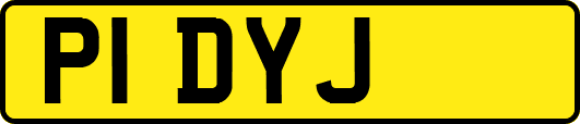 P1DYJ