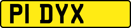 P1DYX