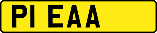 P1EAA