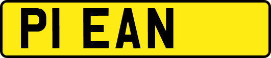 P1EAN