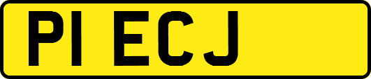 P1ECJ