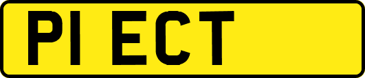 P1ECT