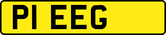 P1EEG
