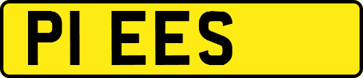 P1EES