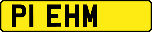 P1EHM