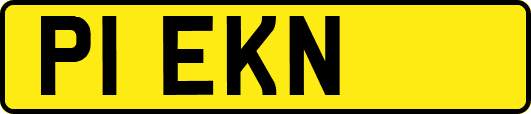 P1EKN