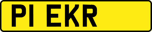 P1EKR