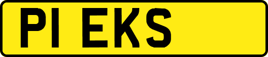 P1EKS