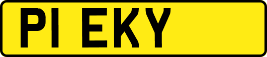P1EKY