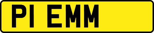 P1EMM