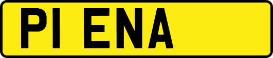 P1ENA