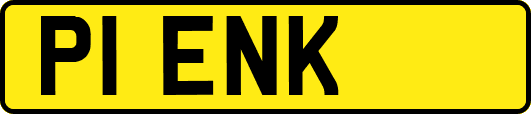 P1ENK