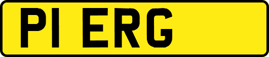 P1ERG