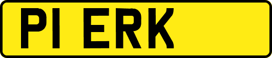 P1ERK