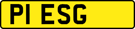 P1ESG