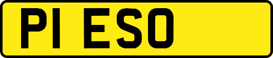 P1ESO