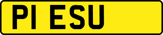 P1ESU