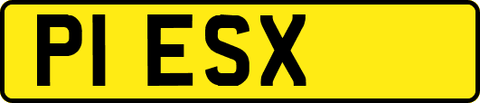 P1ESX