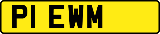 P1EWM