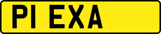 P1EXA